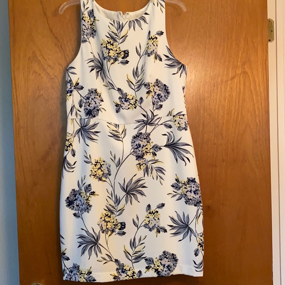 Floral Ann Taylor Factory Dress